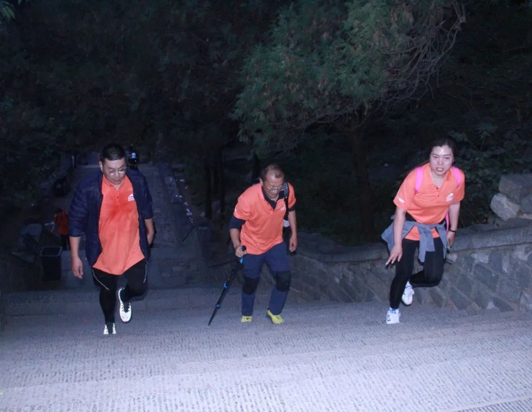 我們一起，頂峰相見 